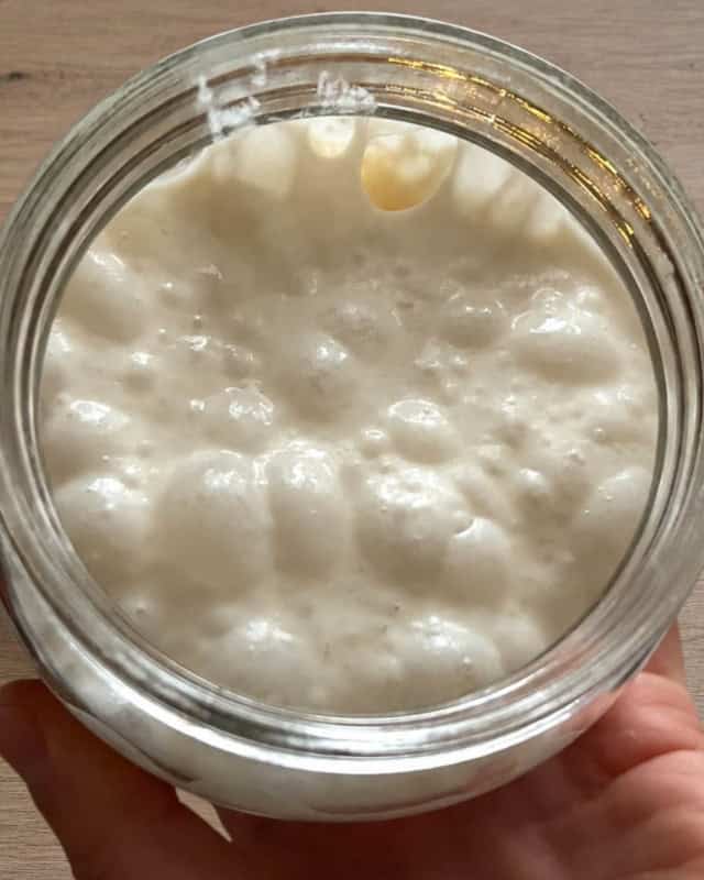 Droži v kozarcu. Mehurčki so znak njihove aktivnosti.